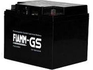 Аккумуляторная батарея  Fiamm FG25507
